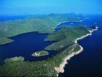 mljet